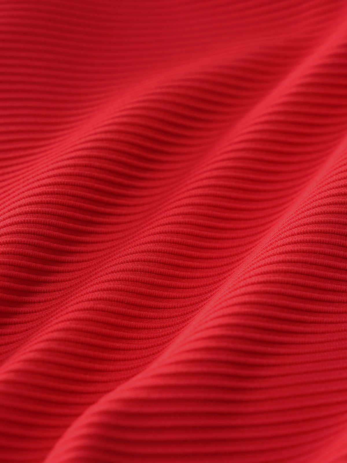 Red Gold-Accented Bikini Bottom