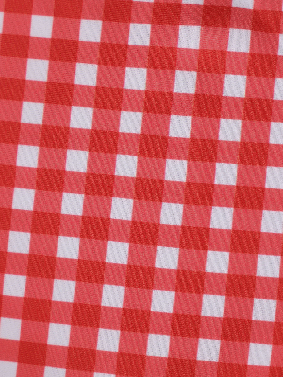 Red Gingham Plus Size Tankini Top