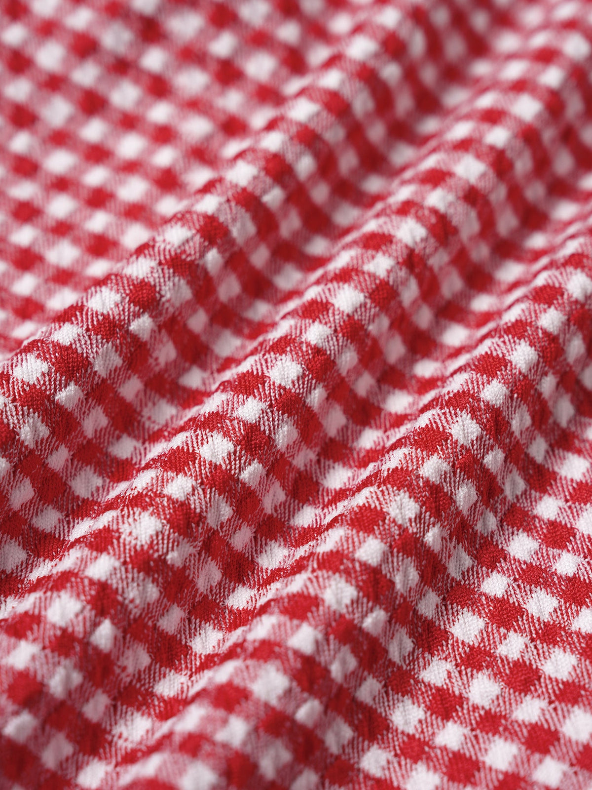 Red Gingham Plus Size Full Coverage Swim Shorts