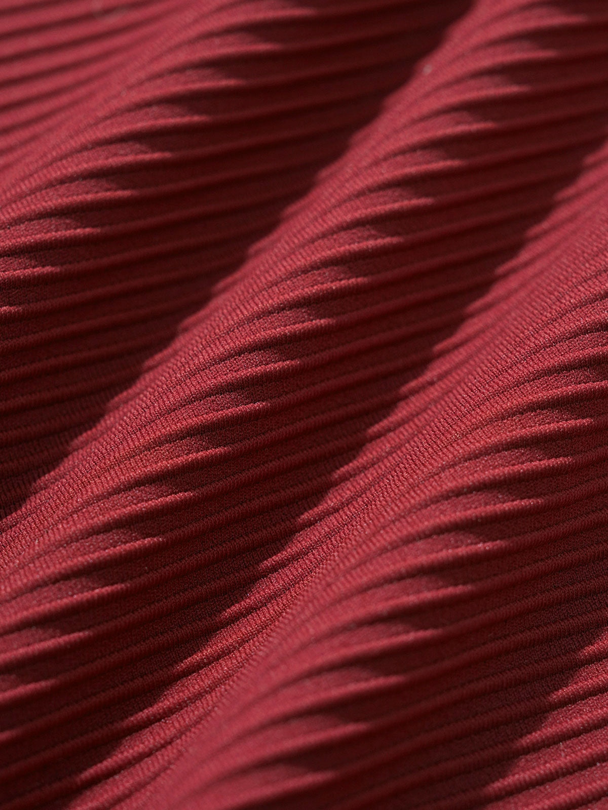 Wine Red Ribbed Plus Size Bikini Bottom