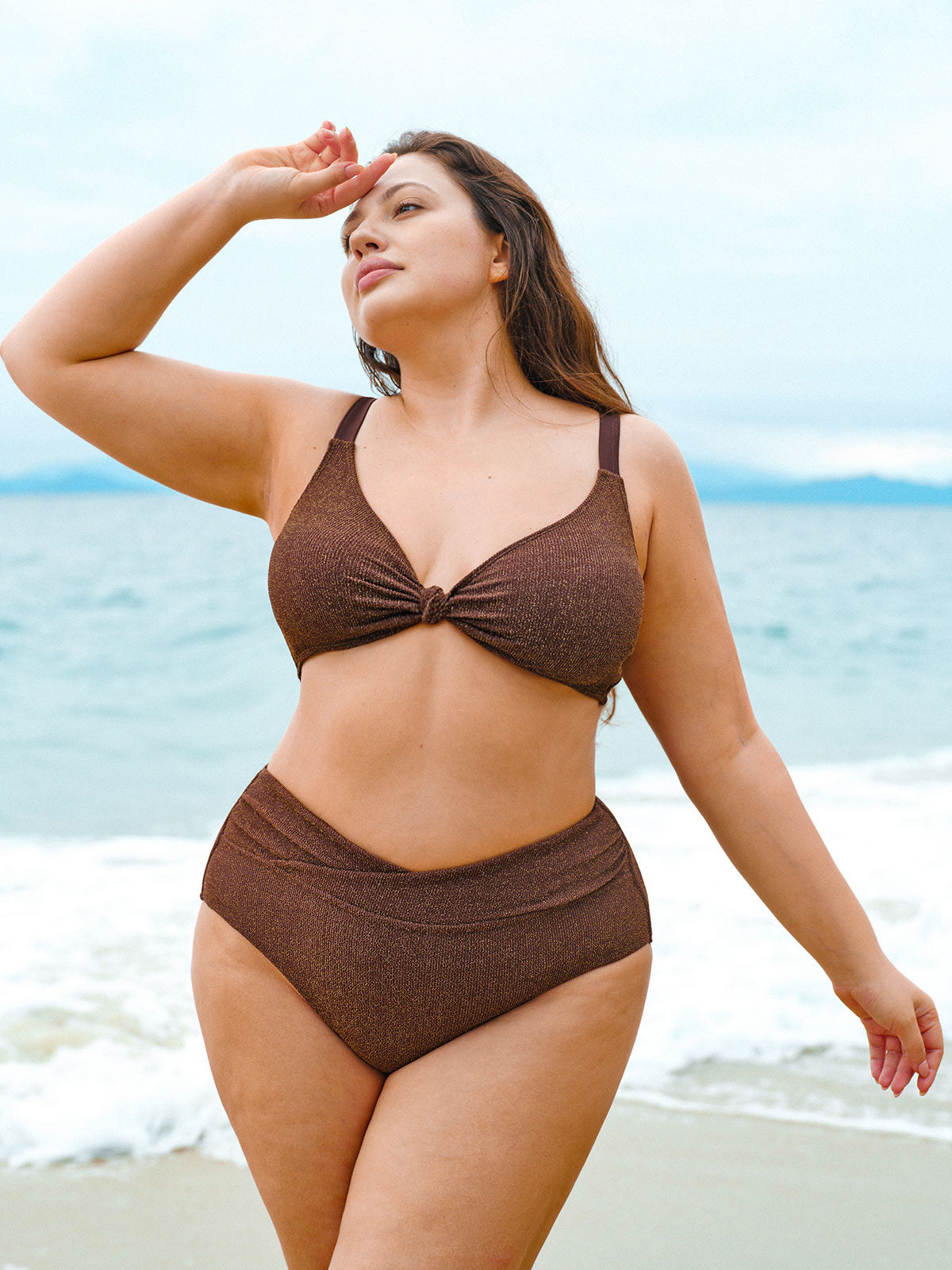 Dark Coffee V Cut Plus Size Bikini Bottom
