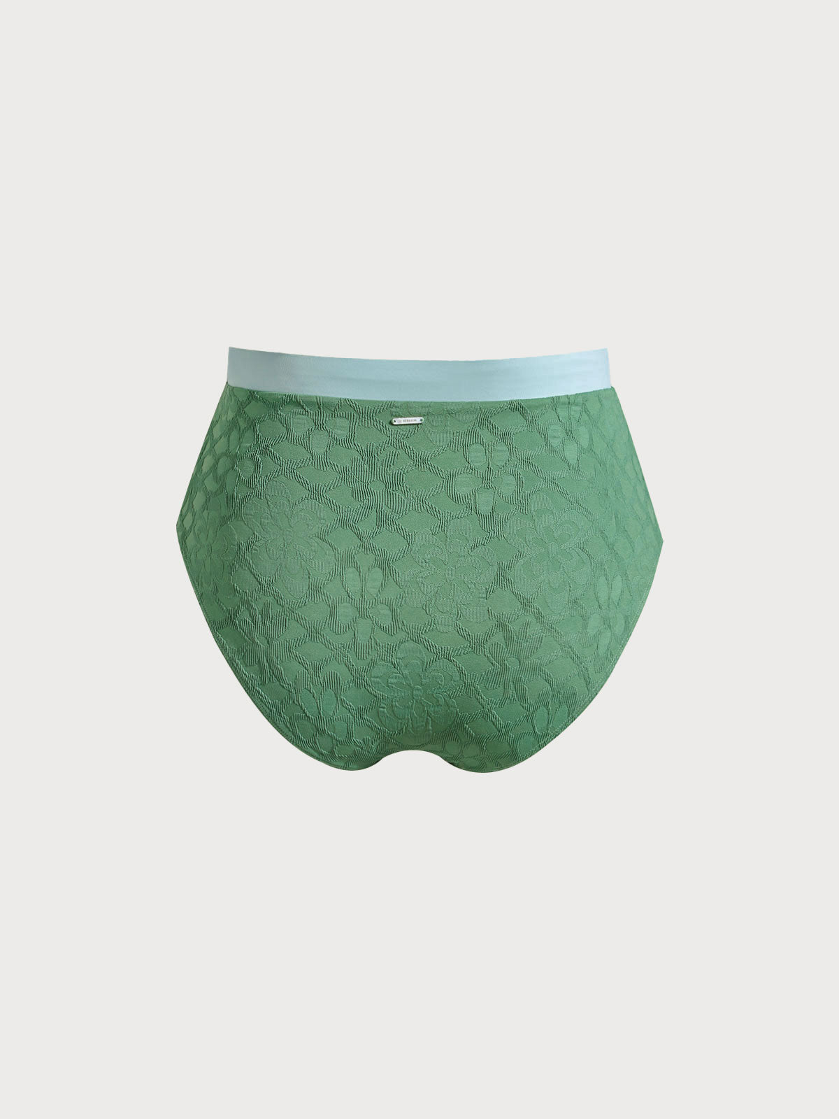 Dark Green Contrast Trim Plus Size Bikini Bottom
