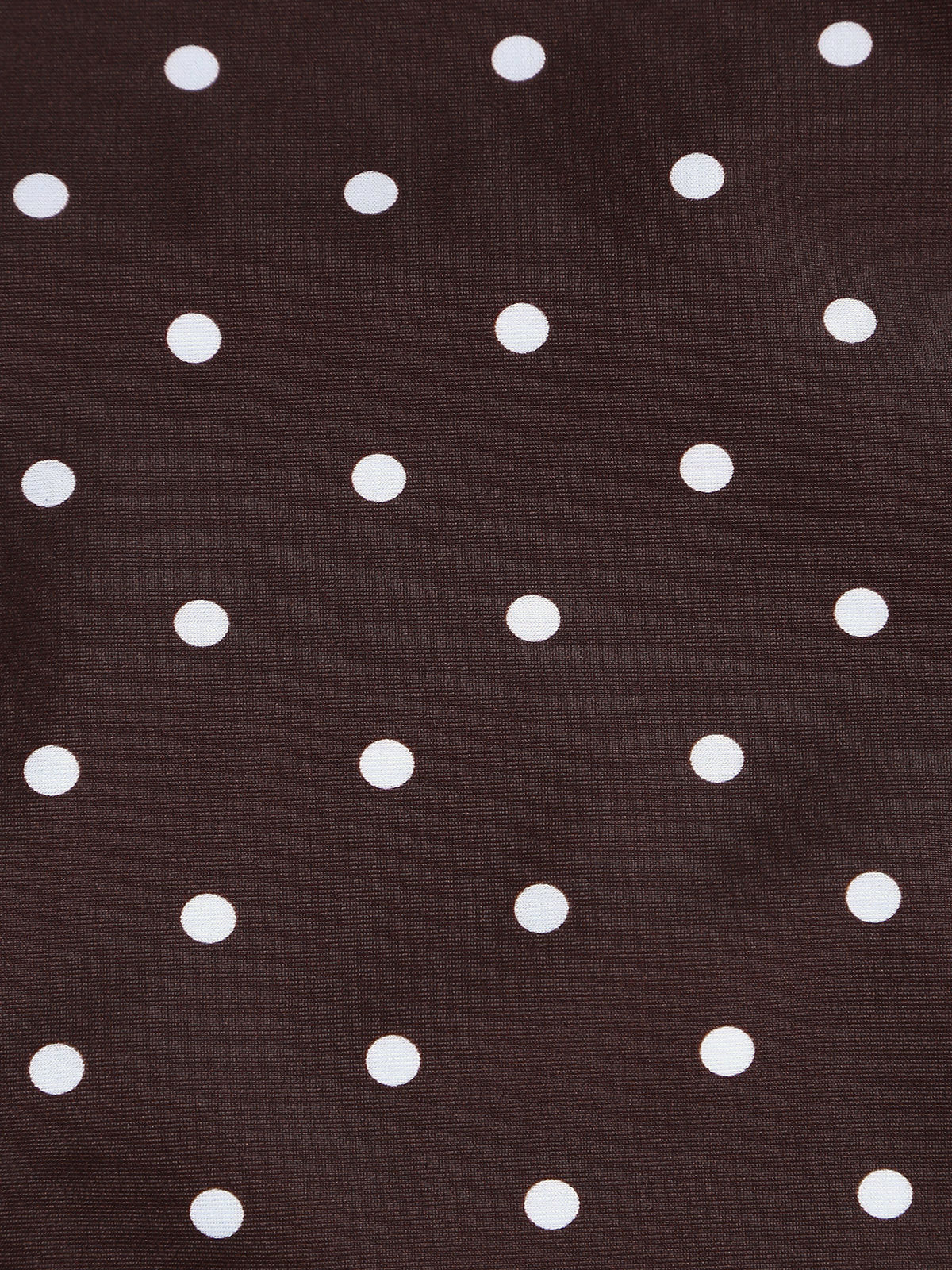 Brown Polka Dot Plus Size Bikini Bottom
