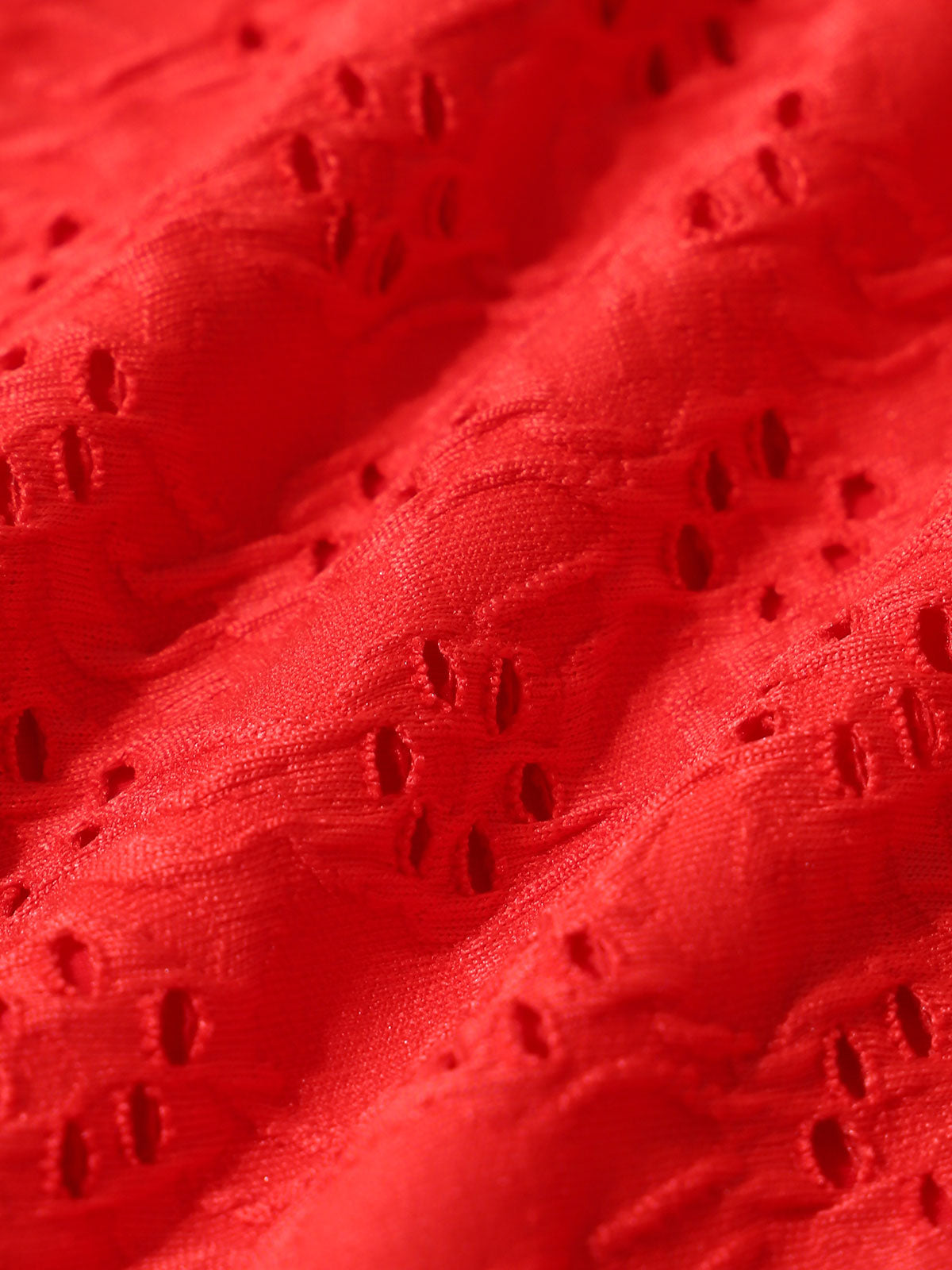 Red Textured Plus Size Bikini Bottom