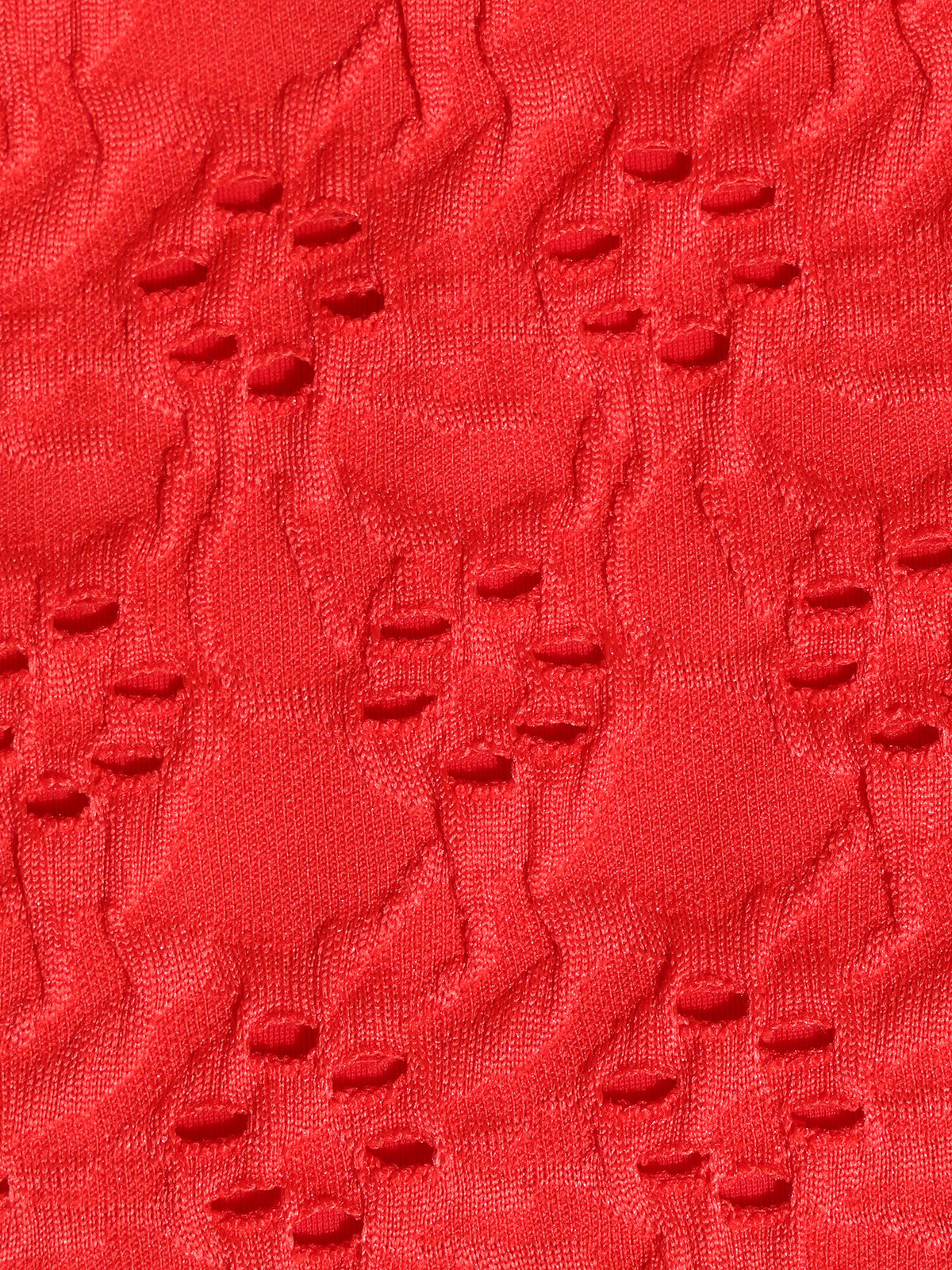 Red Textured Plus Size Bikini Bottom