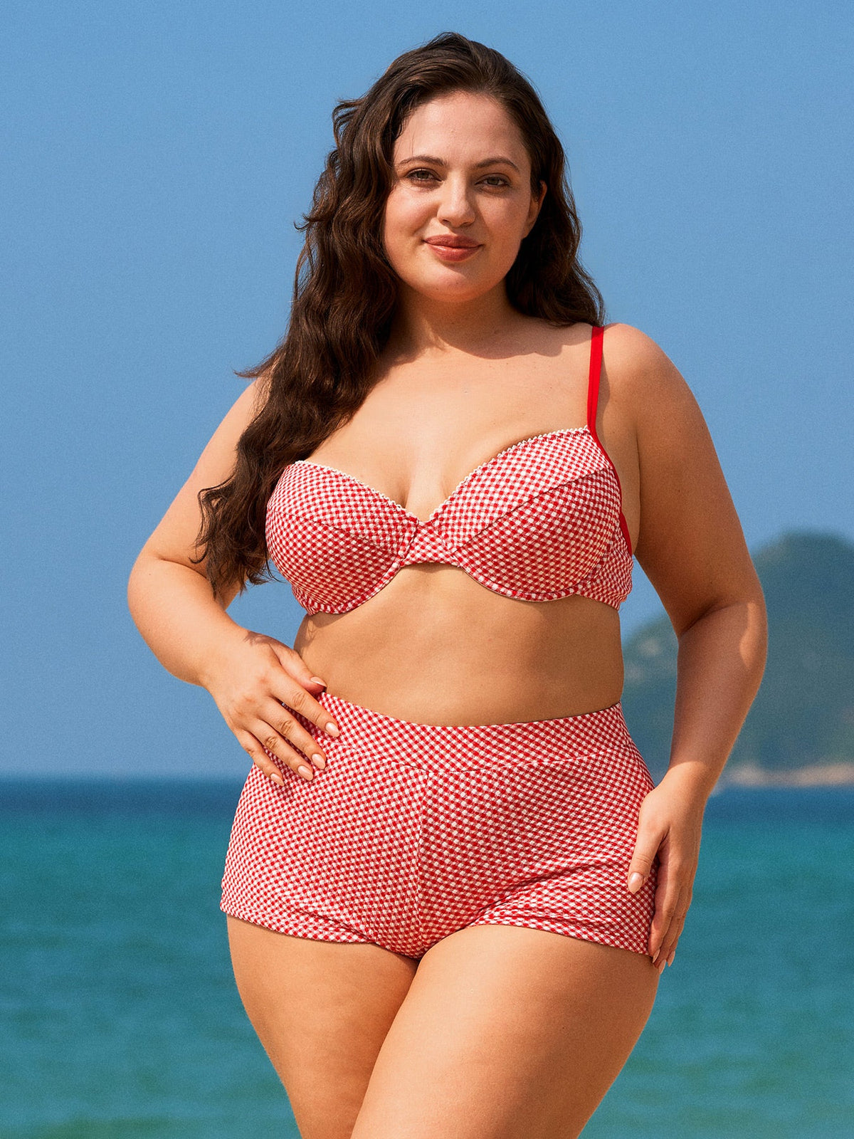 Red Gingham Plus Size Full Coverage Swim Shorts