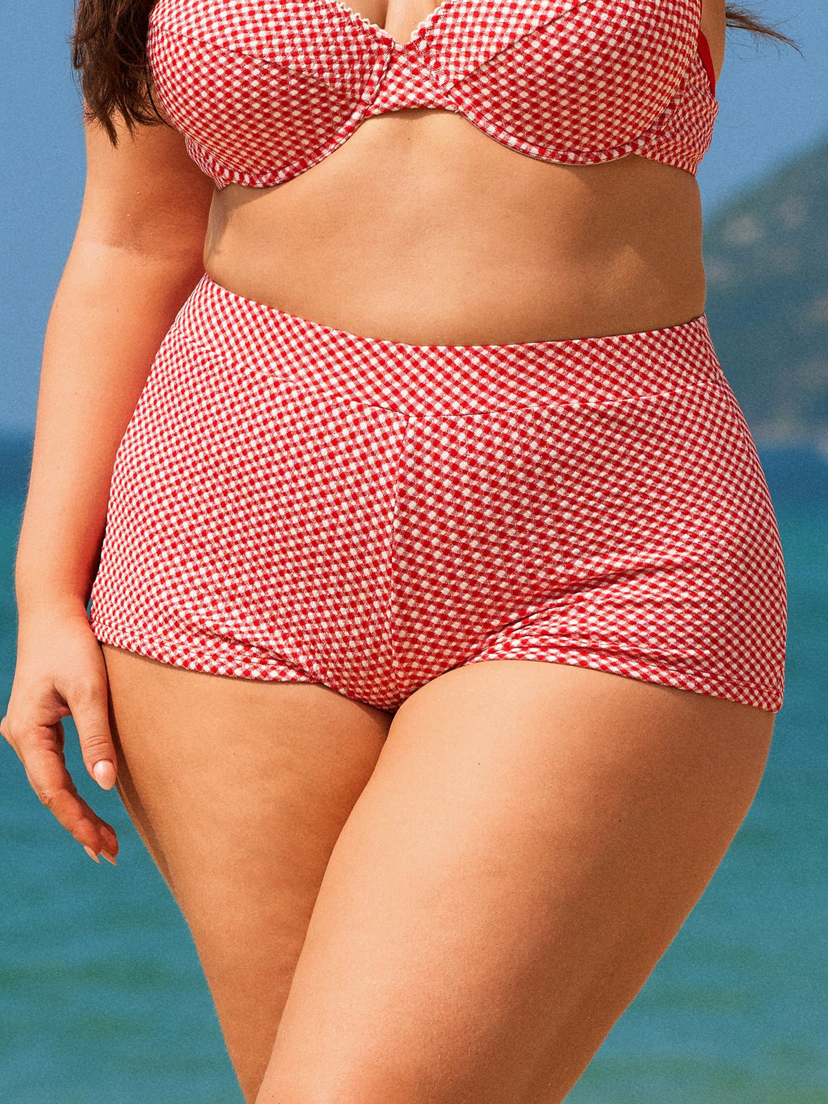 Red Gingham Plus Size Full Coverage Swim Shorts
