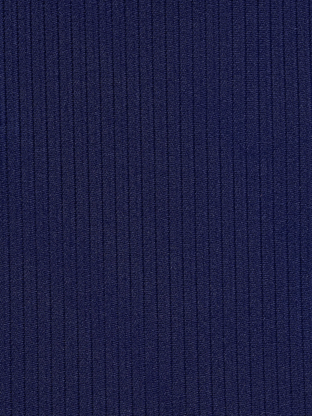 Navy Ribbed Tummy Control Plus Size One Piece Swimsuit